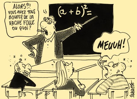 vache folle et maths - 24/11/00